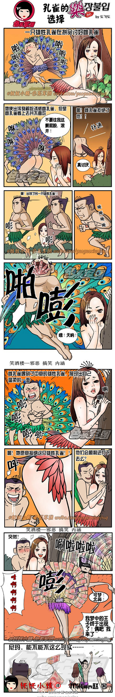 污漫画|孔雀的选择，能不能不这么现实