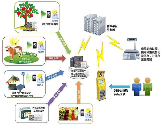 rfid在餐饮行业的应用_物联网rfid发展趋势