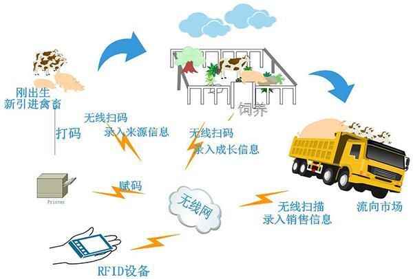 rfid技术应用_rfid标签的存储方式与分类