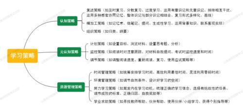 随意识记使用的策略主要归属于