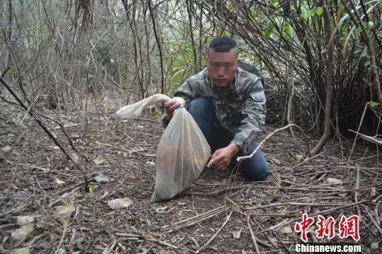 鱼线野鸡套的做法详细图解_野鸡套的制作方法带图