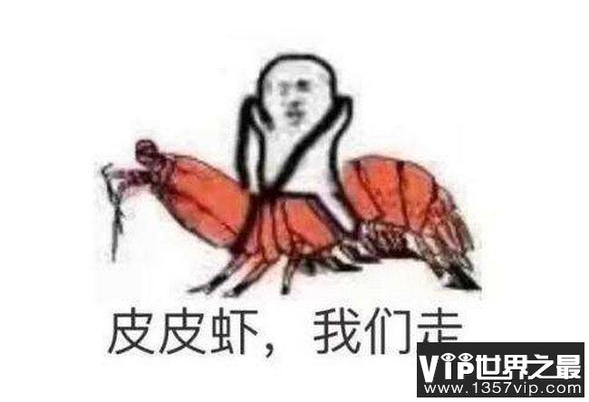 皮皮虾我们走是什么梗 皮皮虾这个梗是什么意思