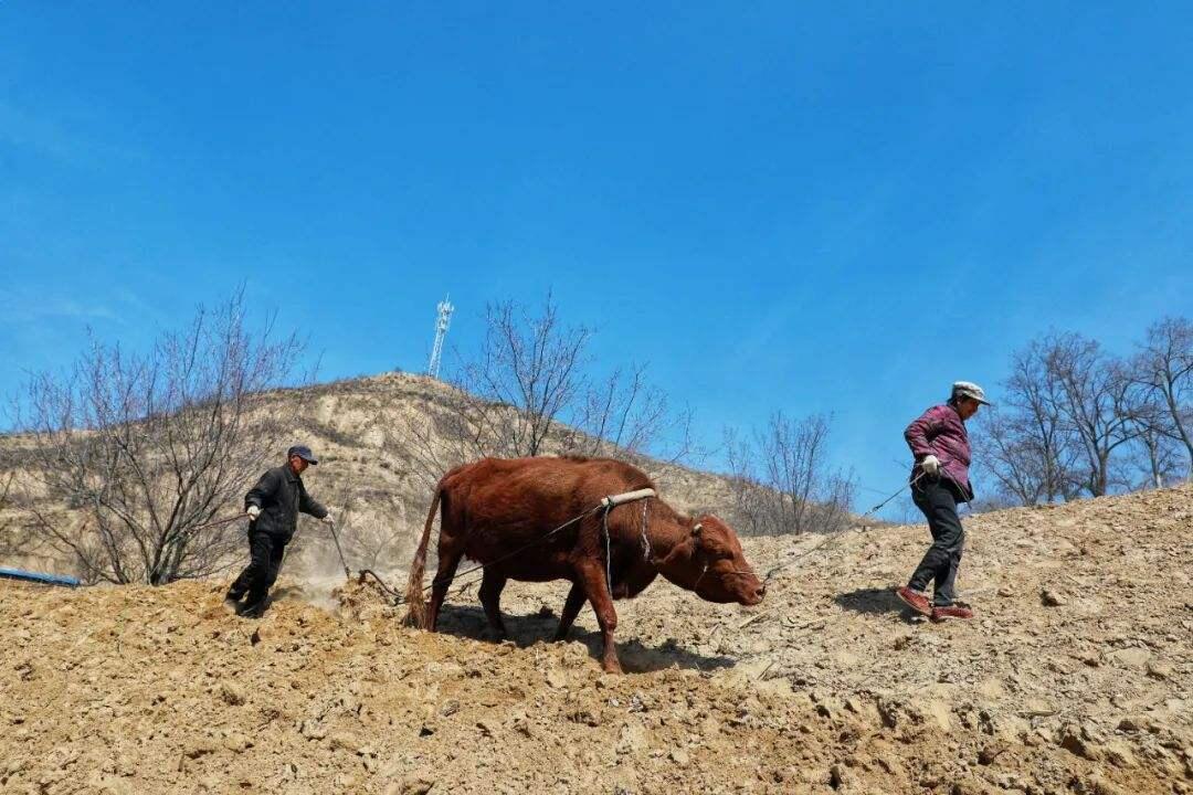 一个田一个井读什么，田井合起来是什么字