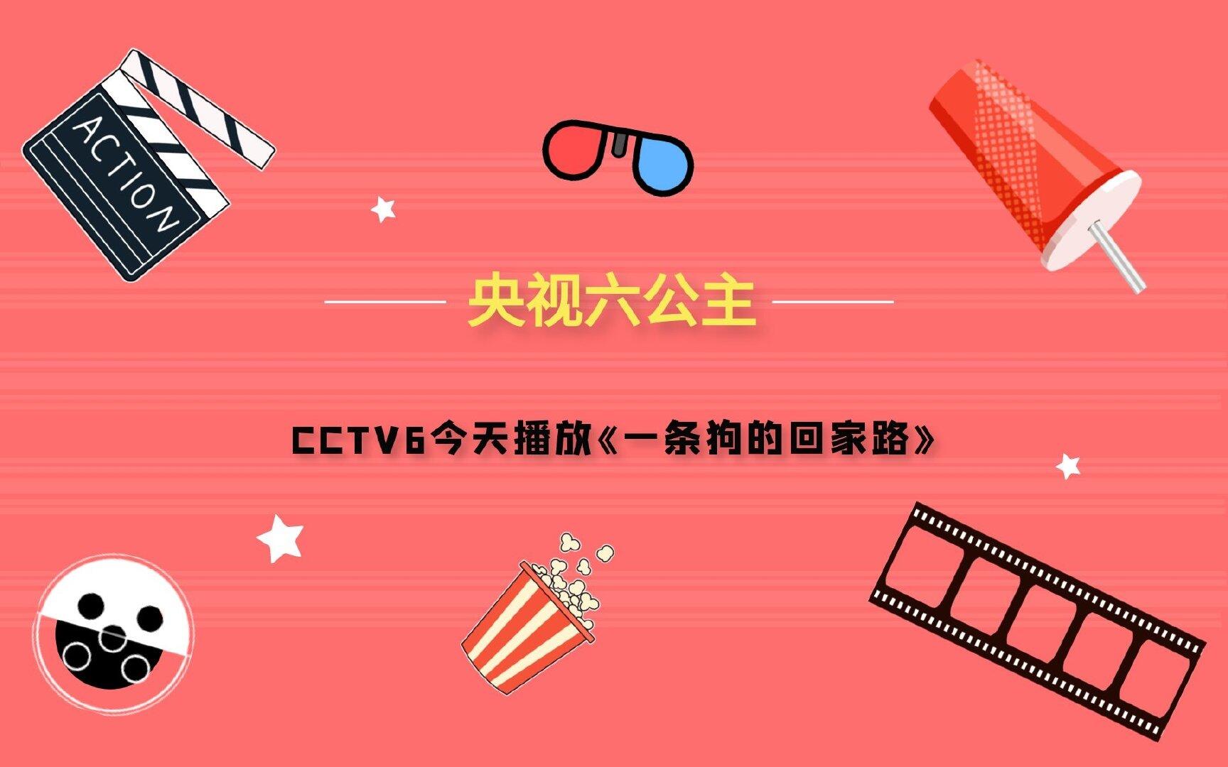 央视六公主丨CCTV6今天播放《一条狗的回家路》