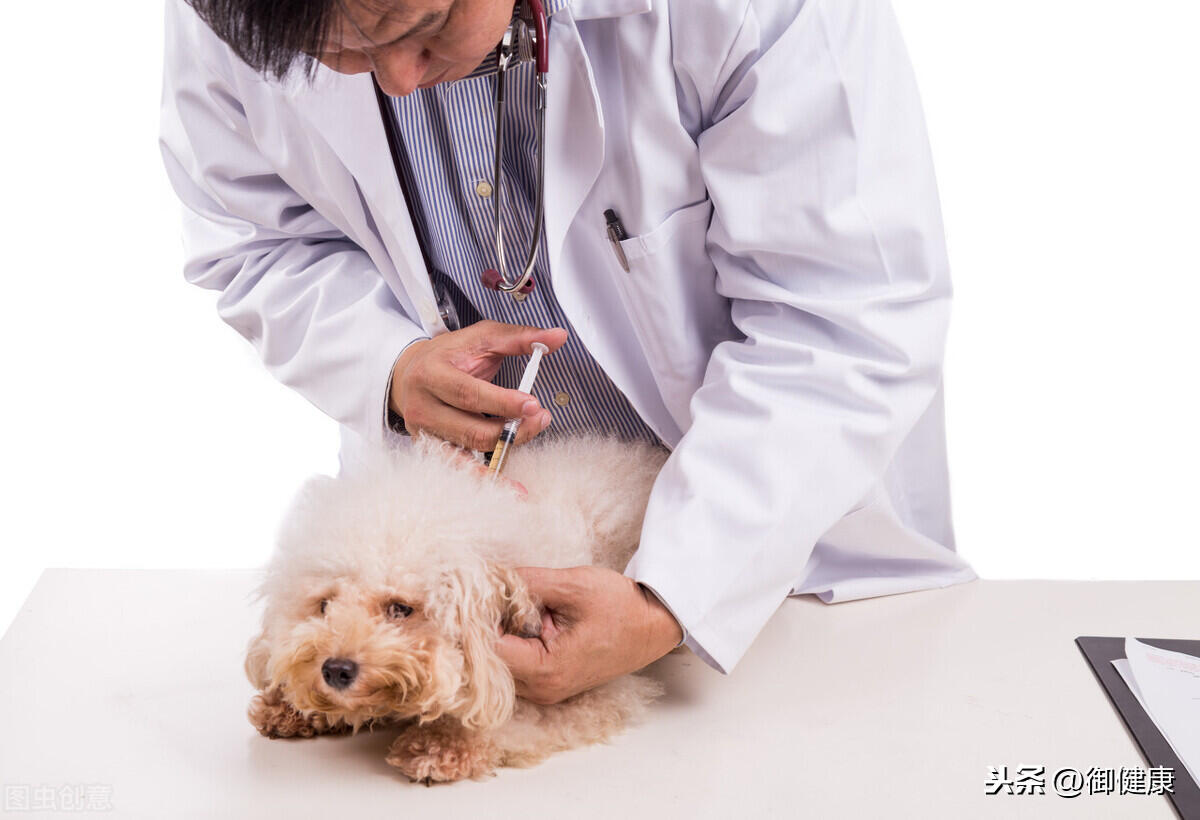 其实大部分人不用打狂犬疫苗