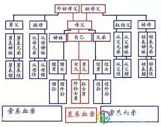 政审三代是指哪三代