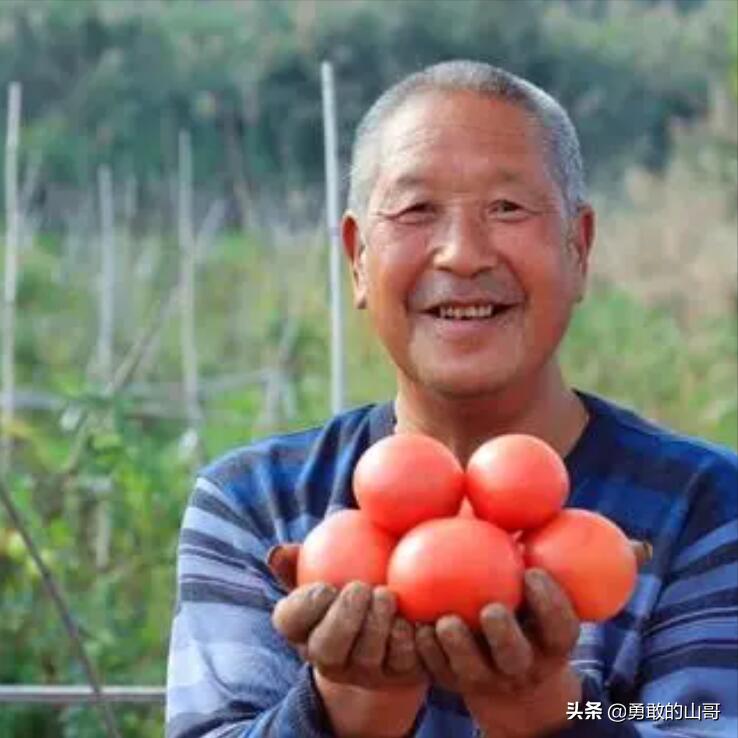 河北人的性格特点