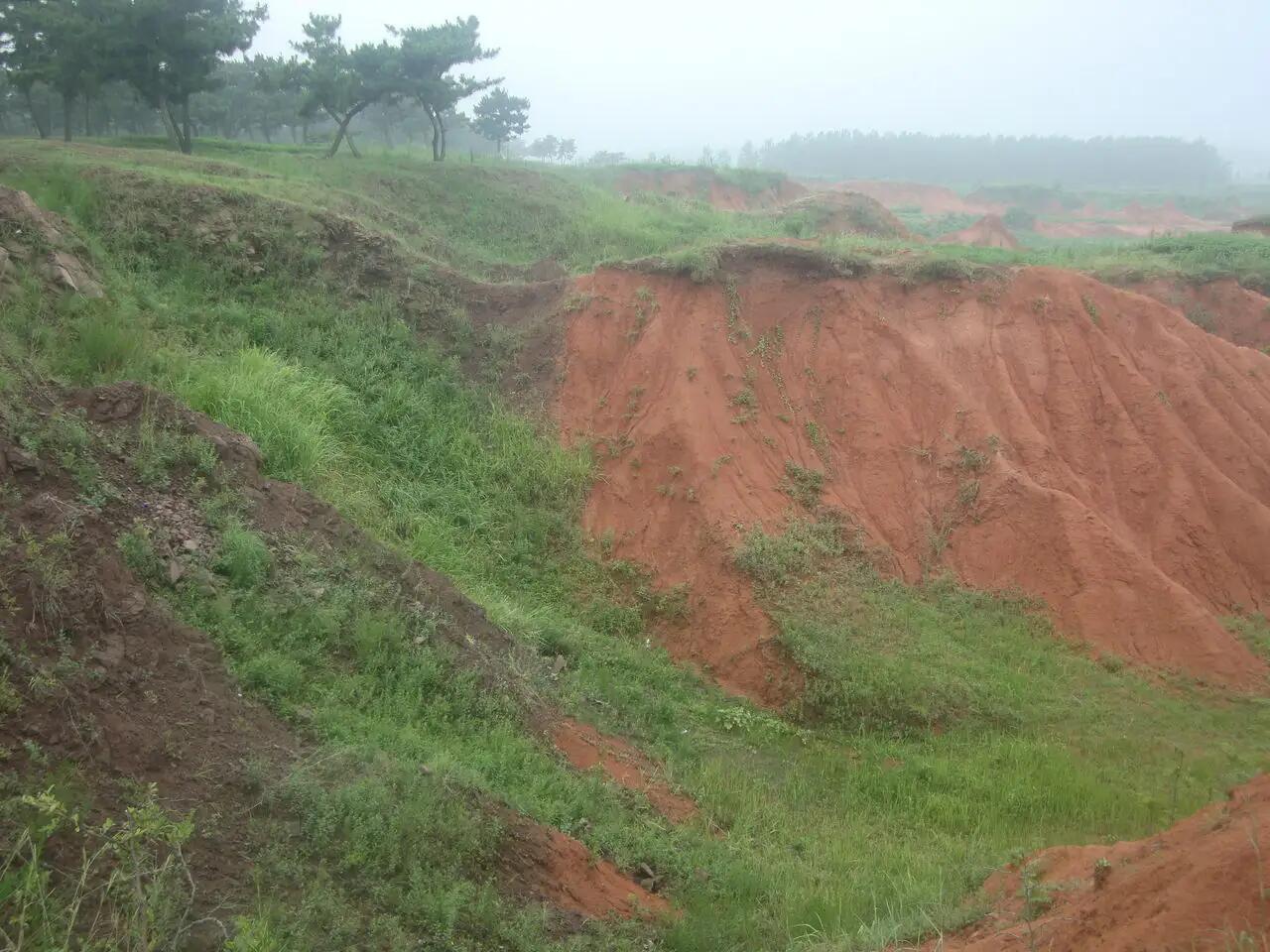 台湾发生40多起余震 民众直呼太恐怖,台湾地震余震