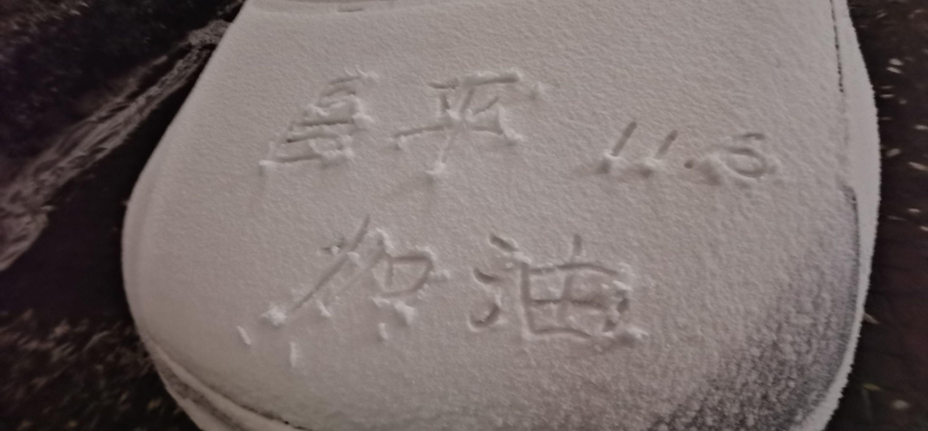 北京多区降雪 雪花纷飞地面微微泛白