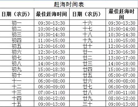 海蛎子加入“赶海套餐”：铺满海滩,赶海海蛎子视频