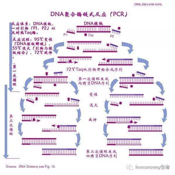 这位诺奖得主曾经登上《花花公子》