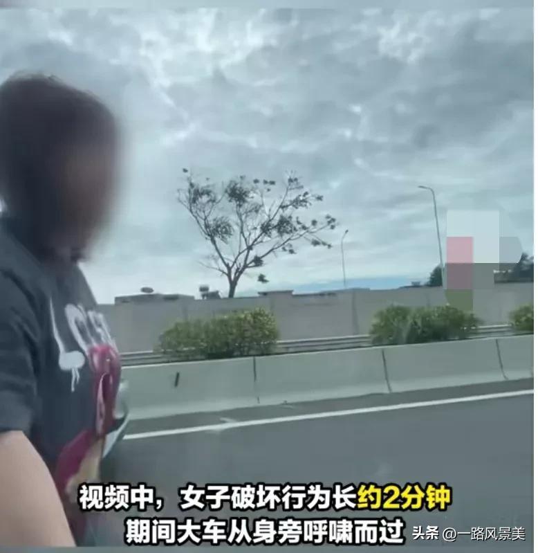 警方回应女子无牌上高速砸他人车辆,究竟是怎么一回事?