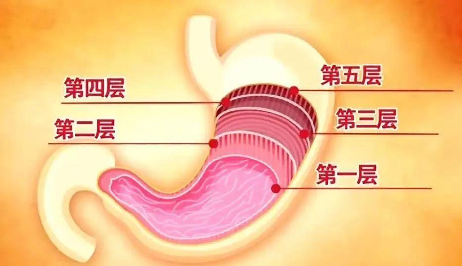 喝凉水真的伤胃吗是怎么回事，关于喝凉水真的伤胃吗为什么的新消息。