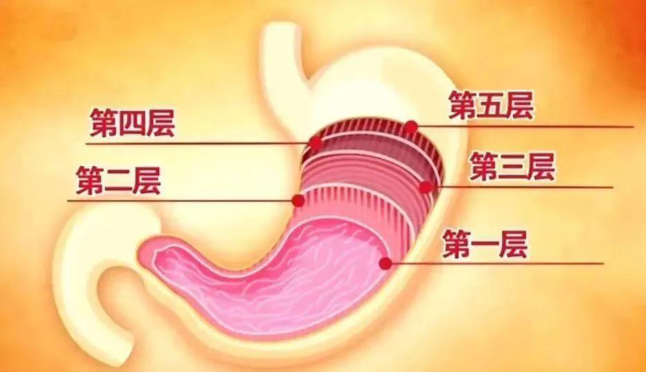 喝凉水真的伤胃吗是怎么回事，关于喝凉水真的伤胃吗为什么的新消息。