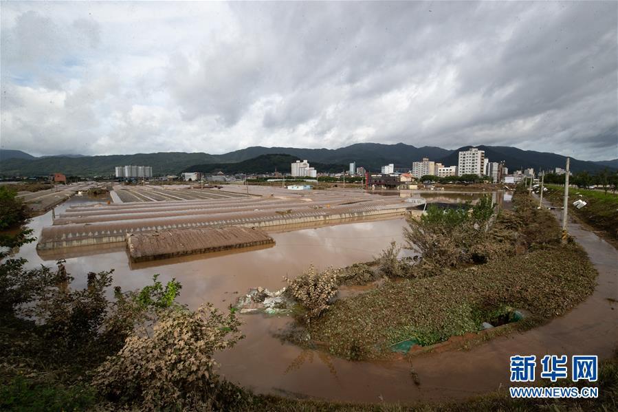 韩国暴雨 一名中国公民遇难是怎么回事，关于韩国暴雨已致30人死亡的新消息。