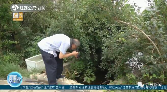 小区池塘现远古生物是怎么回事，关于小池塘里的生物的新消息。