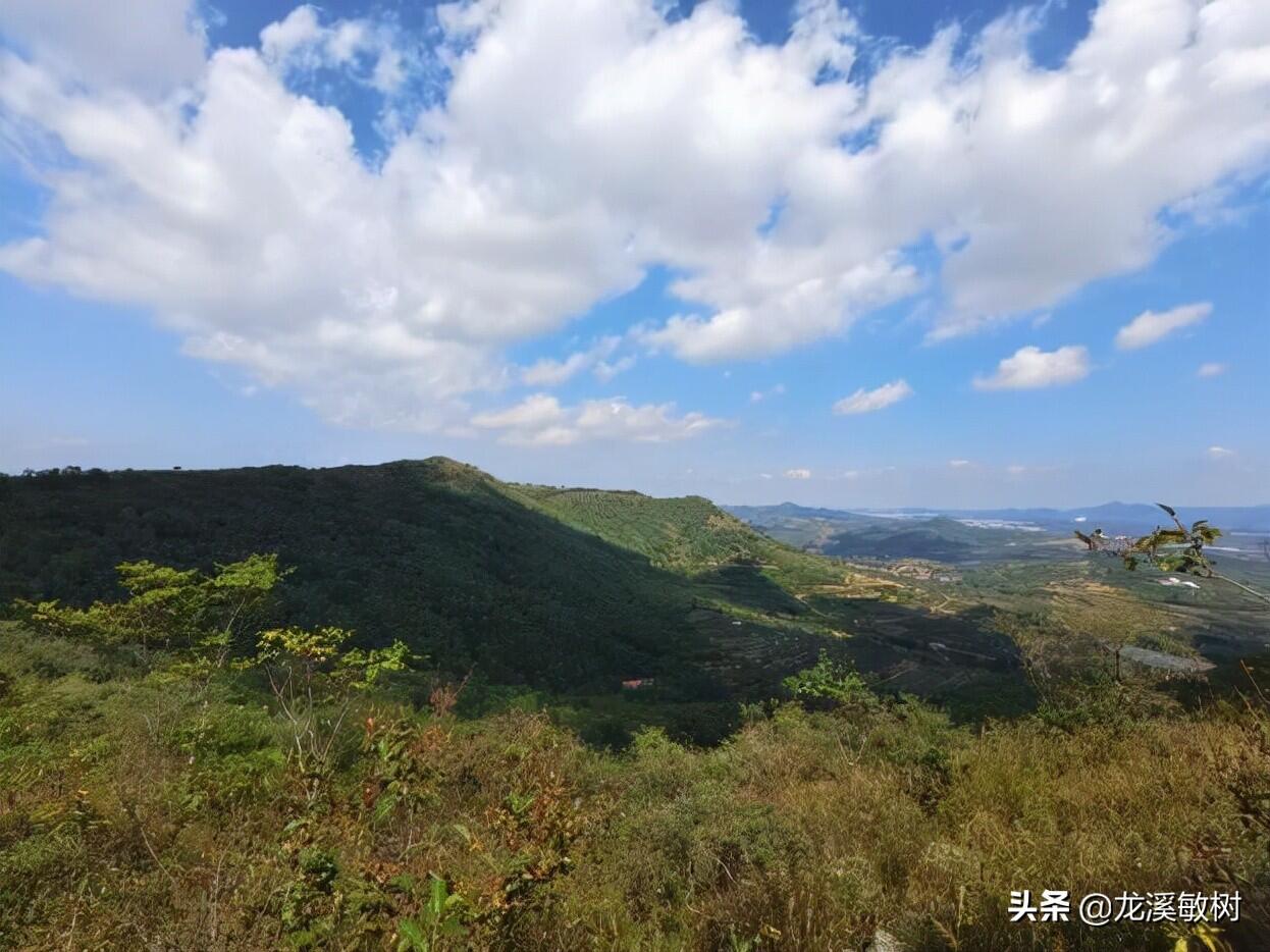 海口街头出现海市蜃楼是怎么回事，关于龙口海市蜃楼的新消息。