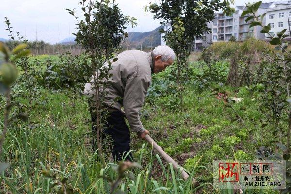 浙江一学霸村实现户户有大学生