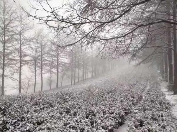 浙江多地下雪,究竟是怎么一回事?