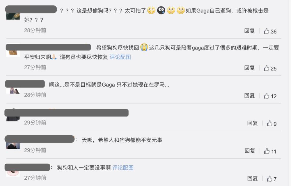 Lady Gaga遛狗员遭枪击生命垂危什么情况？两只爱犬被偷她愿以50万美金赎回