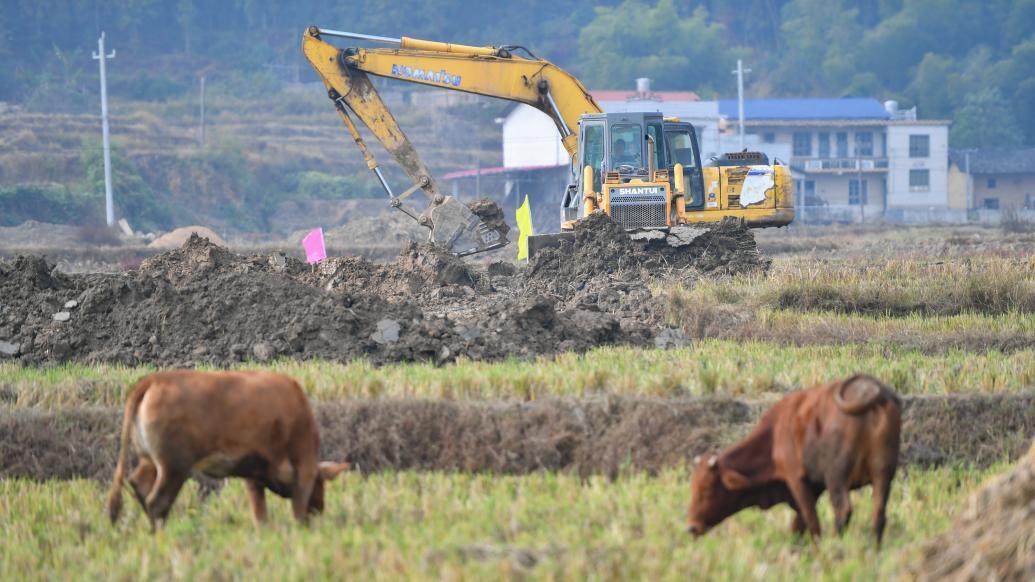 委员建议允许地方调整基本农田布局,究竟是怎么一回事?