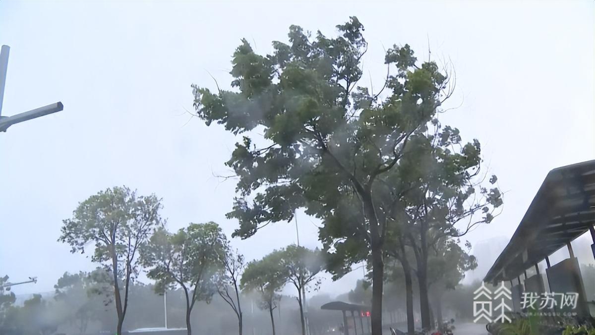 台风梅花登陆：狂风大作 暴雨横飞,梅花超强台风