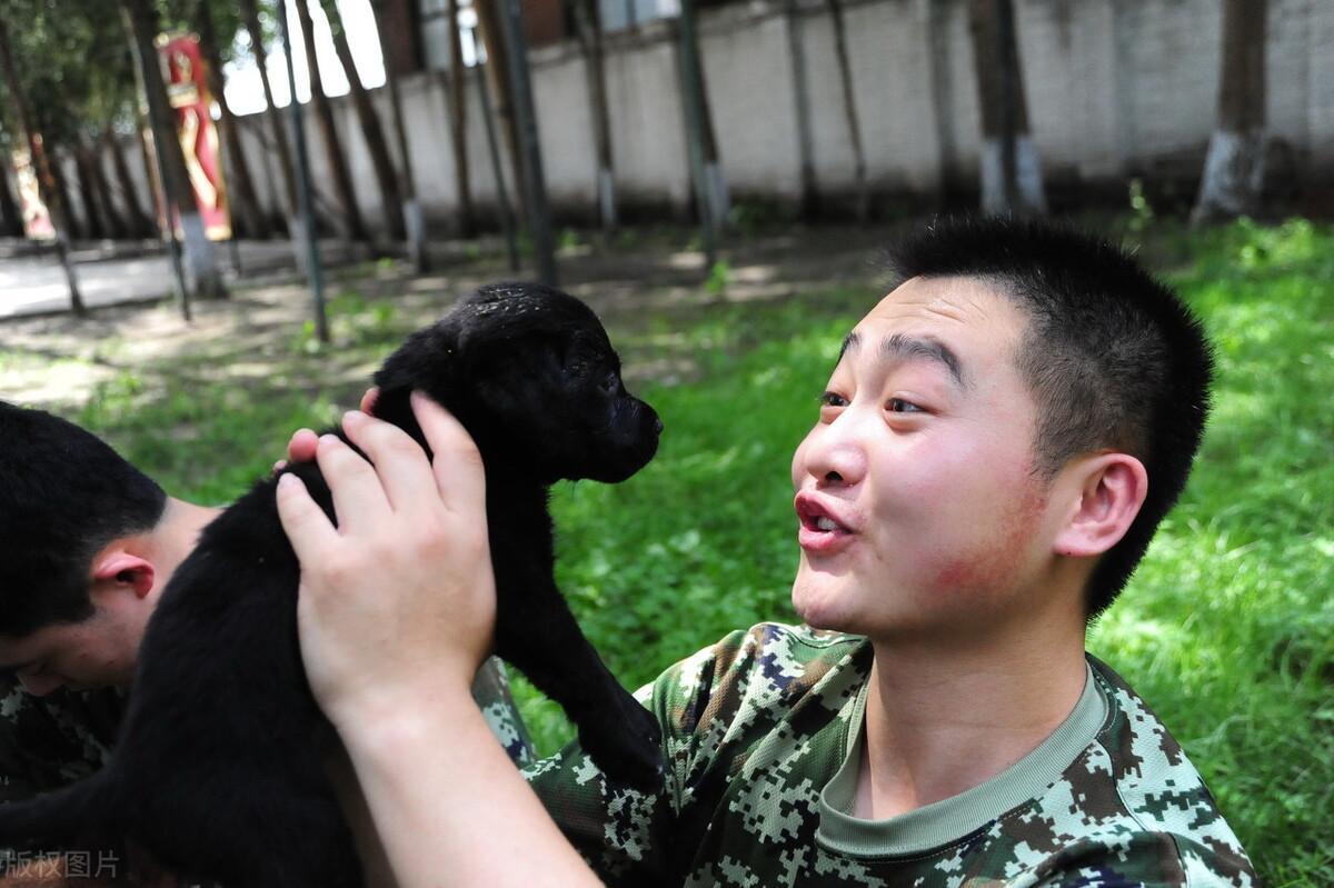 年轻人为何戒不掉报复性熬夜是怎么回事，关于年轻人为何戒不掉报复性熬夜呢的新消息。