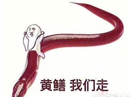 黄鳝门主播被刑拘 老虎直播女主播琪琪黄鳝门事件及视频回顾