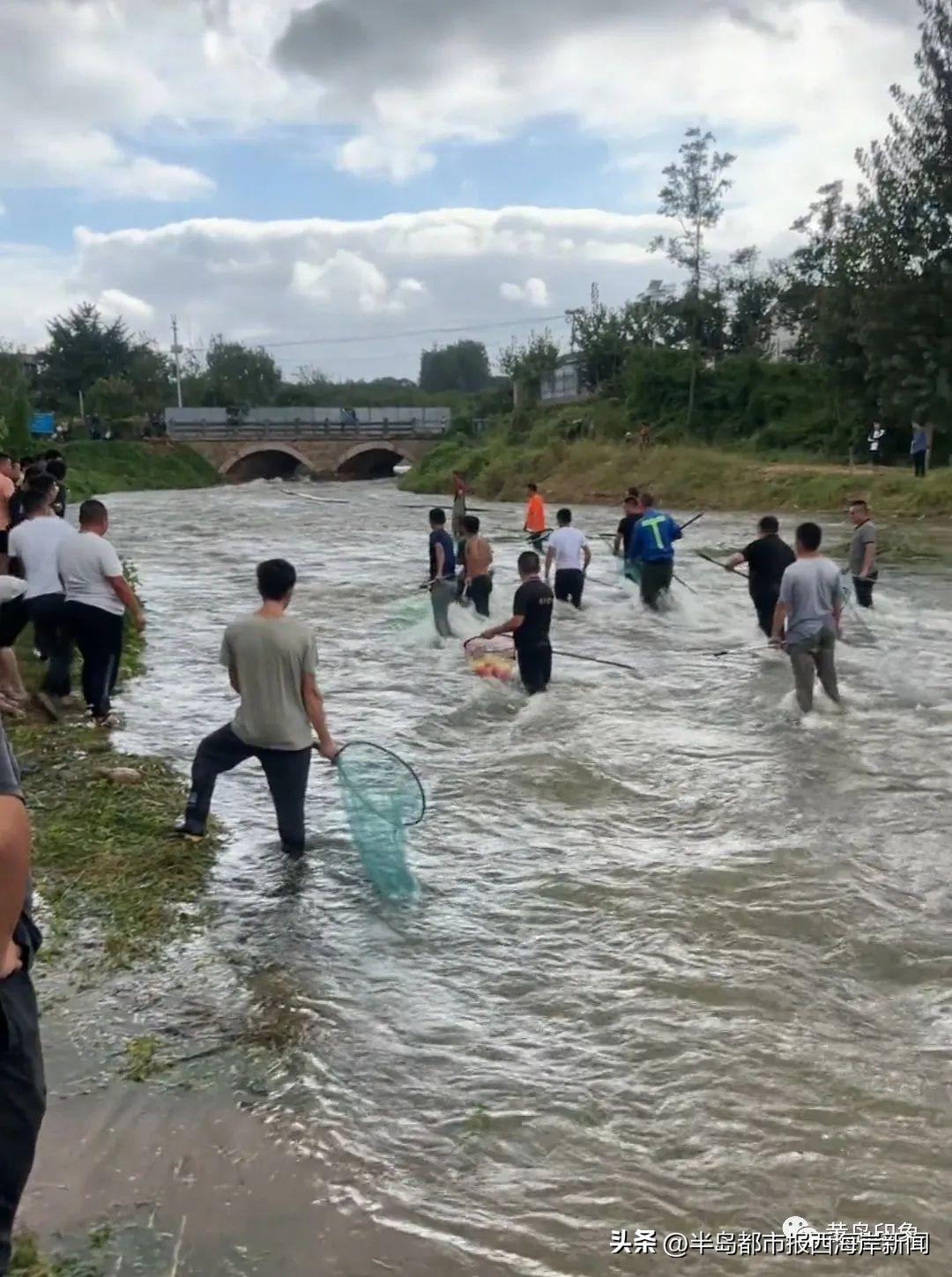 水位大降引万人抓鱼,水位大降引万人抓鱼场面壮观