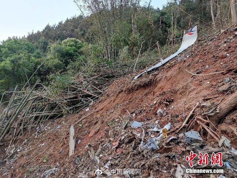 东航空难不是流量池！东航坠机事件不是营销工具