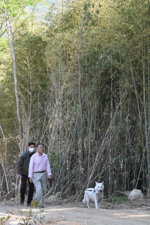 文在寅与保镖散步突遇意外是怎么回事，关于文在寅 保镖的新消息。