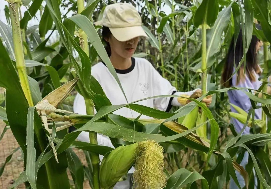 北京化工大学1名在校生确诊,北京化工大学学生会