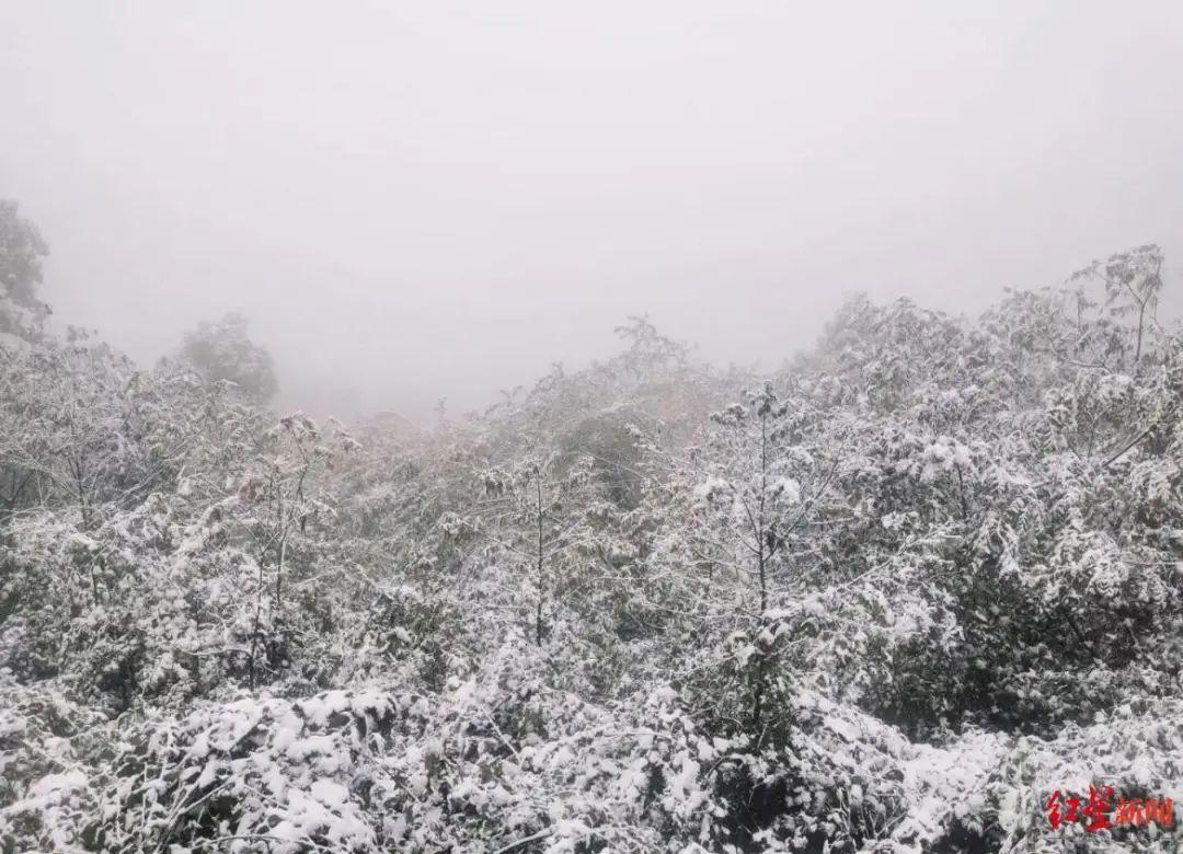 成都下雨刷屏朋友圈是怎么回事，关于成都下雪的朋友圈的新消息。