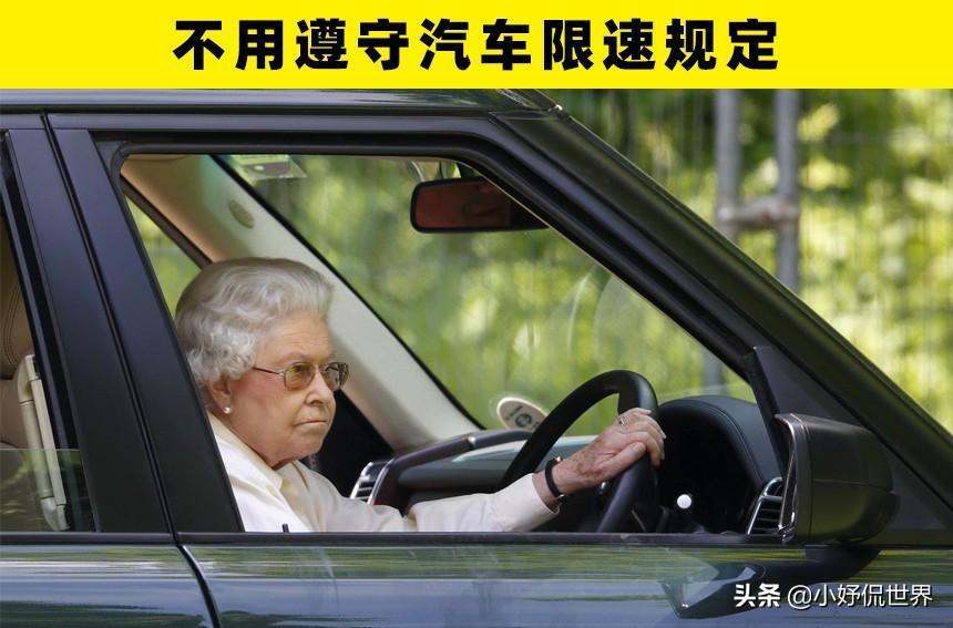 英女王处于医疗监护状态,英国女王是所有儿童监护人