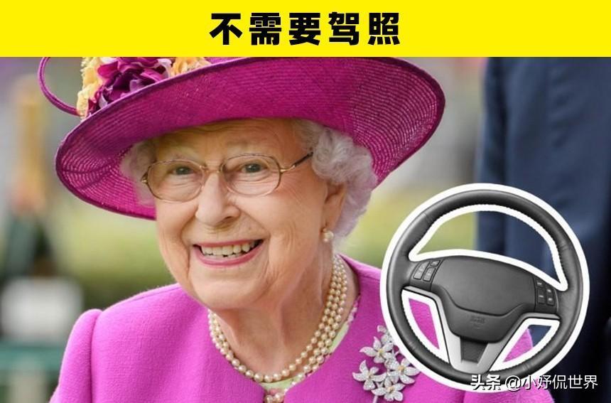 英女王处于医疗监护状态,英国女王是所有儿童监护人