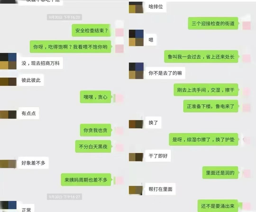 成都涉不雅聊天记录女干部简历撤下,究竟是怎么一回事?