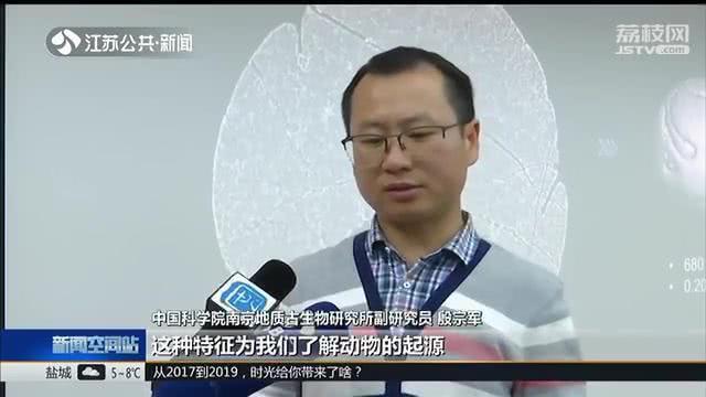 先有鸡还是先有蛋有答案了?先有鸡还是先有蛋化石给出答案