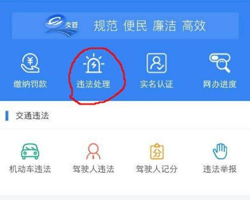 交警123123为什么处理不了违章 在交管123123上缴纳罚款方法