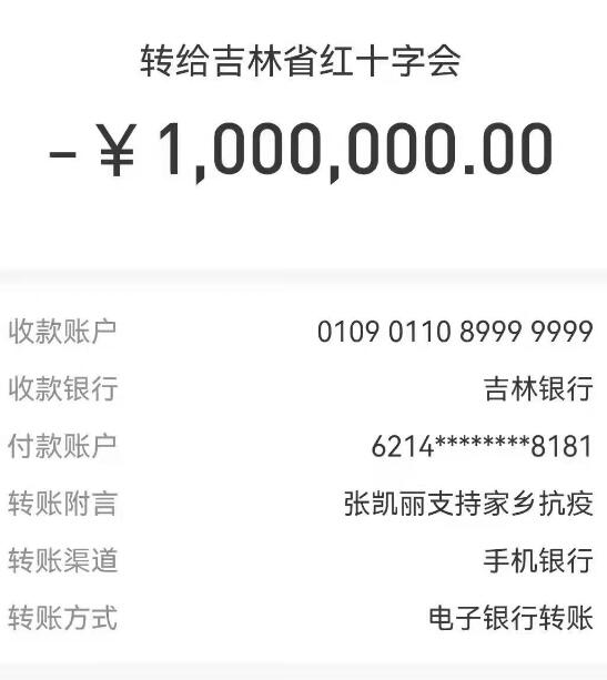 张凯丽为吉林省疫情捐款100万_宋晓峰捐50万