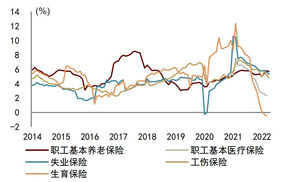 青年人就业压力仍较大是怎么回事，关于青年就业压力巨大的新消息。