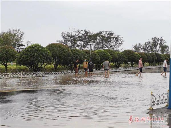 青岛即墨暴雨多路段积水车辆漂浮是怎么回事，关于青岛今天积水路段的新消息。