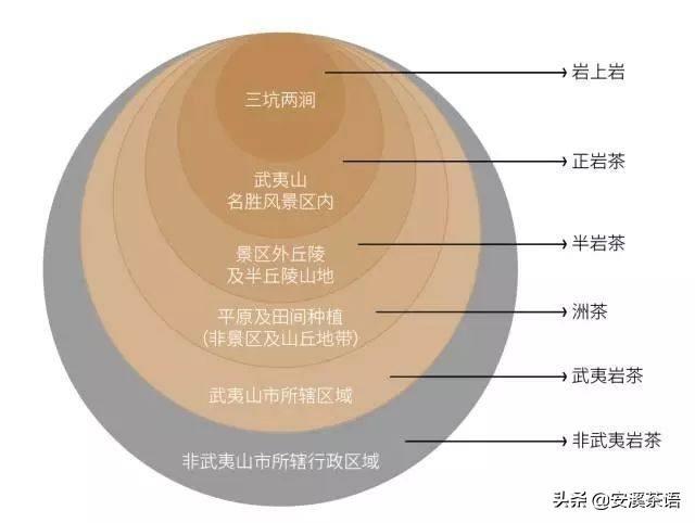 岩茶属于什么茶,岩茶属于什么茶？