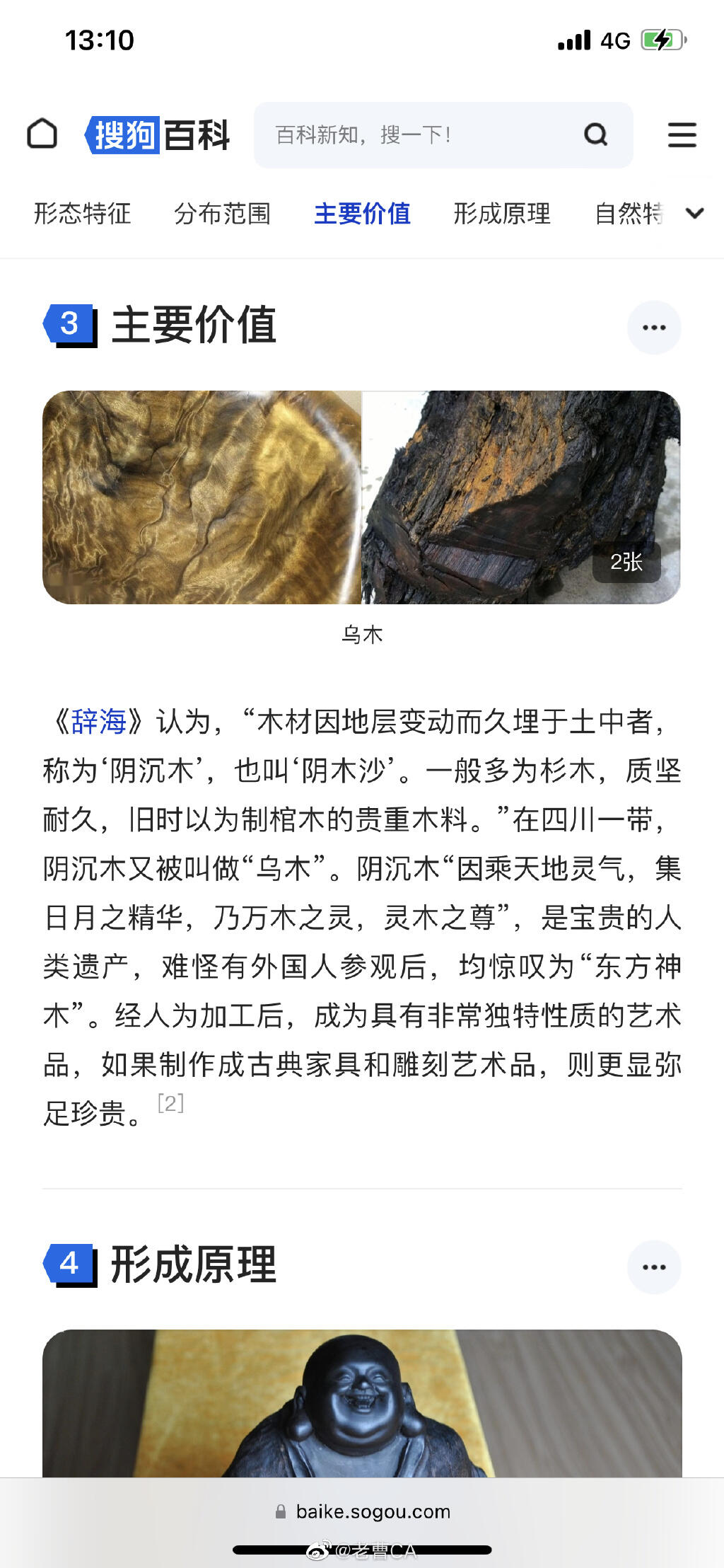 重庆嘉陵江惊现巨大阴沉木 阴沉木是什么木头 阴沉木的功效与作用是什么