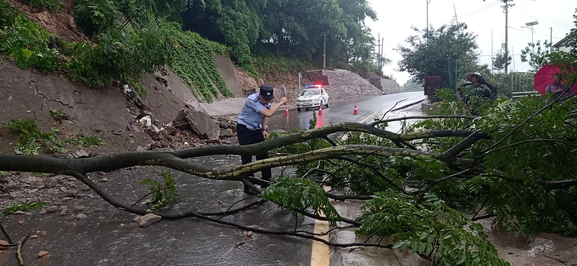 直击重庆暴雨袭城：大蛇被冲到马路是怎么回事，关于重庆遭雷雨大风袭击的新消息。