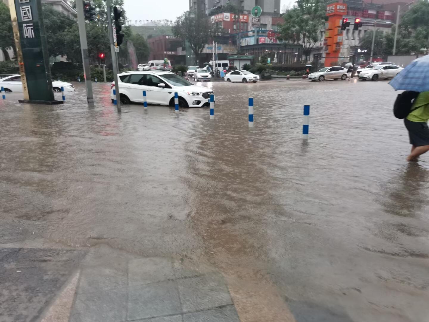 直击重庆暴雨袭城：大蛇被冲到马路是怎么回事，关于重庆遭雷雨大风袭击的新消息。