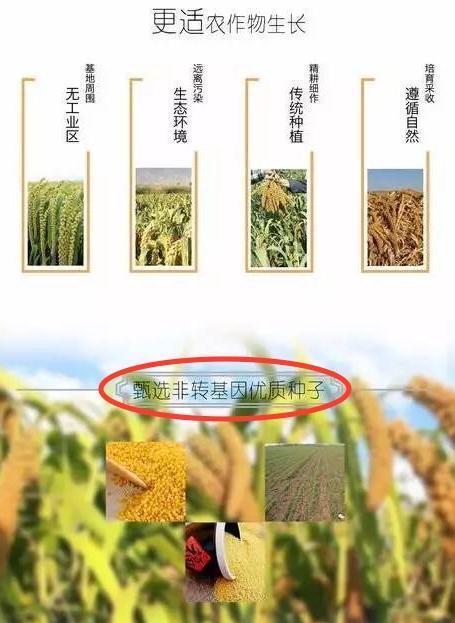 璞谷塘商城是崔永元旗下的吗 璞谷塘卖的非转基因食品是真的吗