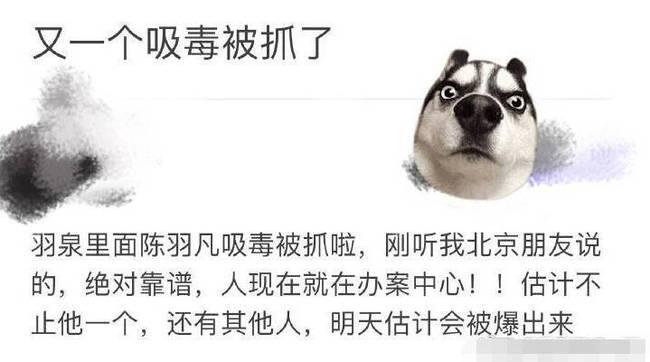 陈羽凡吸毒是怎么回事 陈羽凡吸毒被抓是真的吗？本人微博出面辟谣