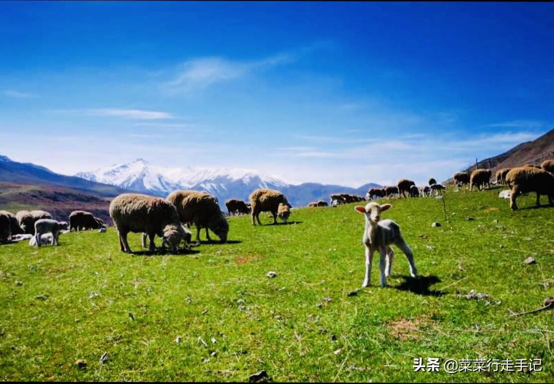 吉尔吉斯斯坦天山雪崩是怎么回事，关于吉尔吉斯斯坦 天山的新消息。