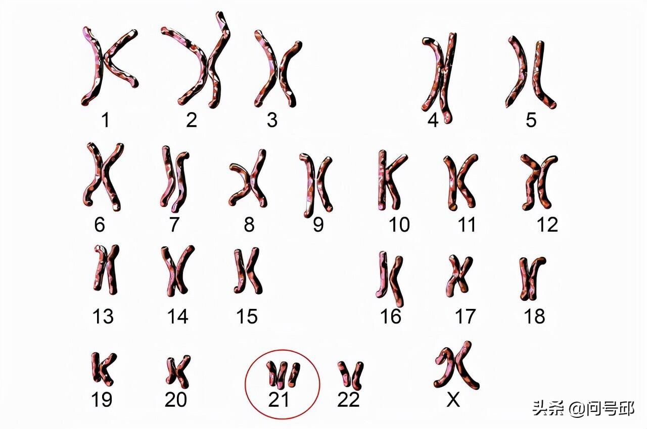 科学家发现刺激头发生长分子是怎么回事，关于长头发的科学家的新消息。