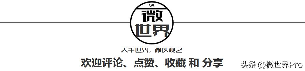 年轻人为什么不期待国庆了,年轻人为什么不期待国庆了呢